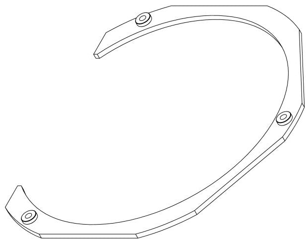 LARGE GAUGE RING W/ PEMS