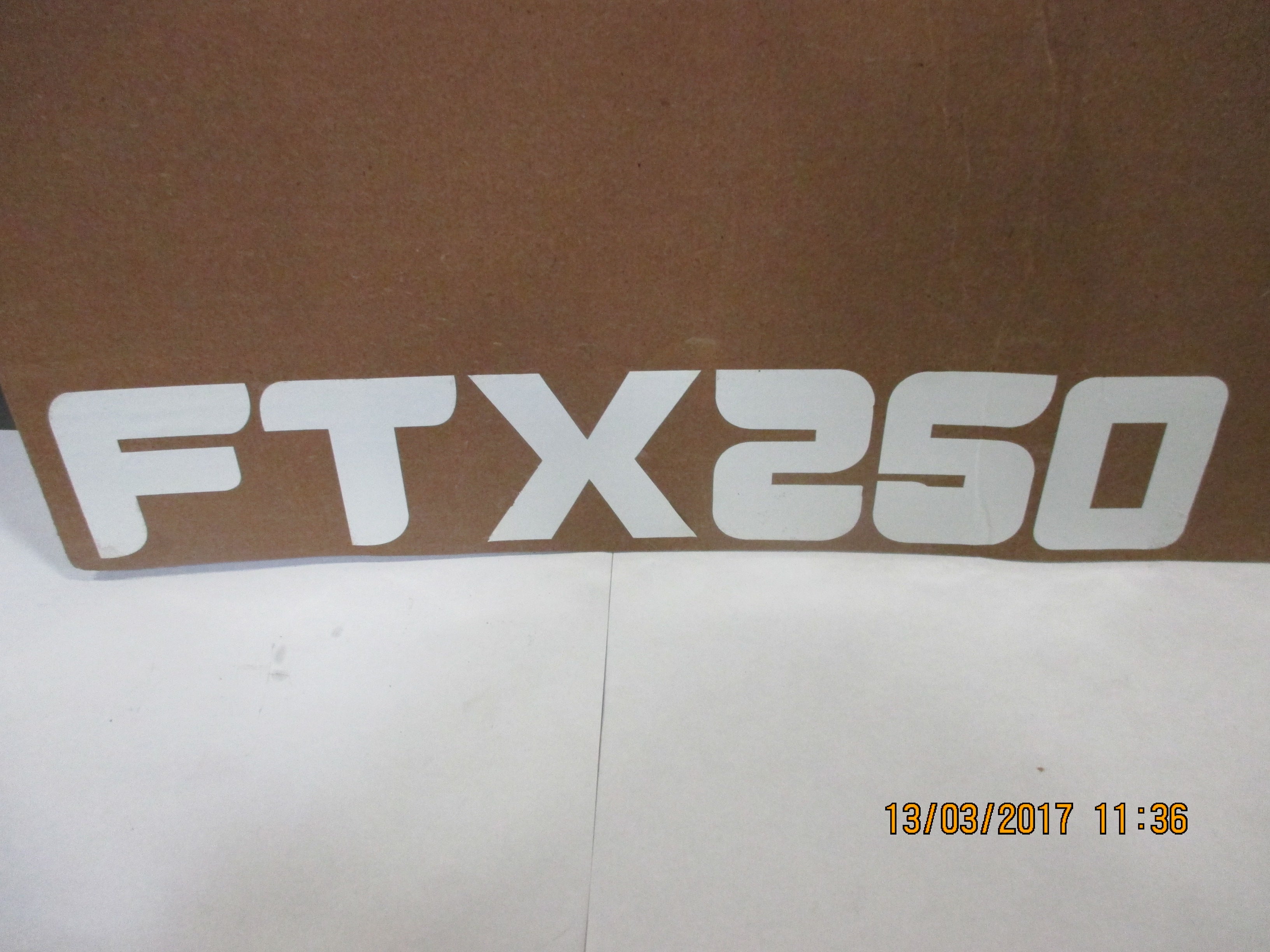FTX250 DECAL
