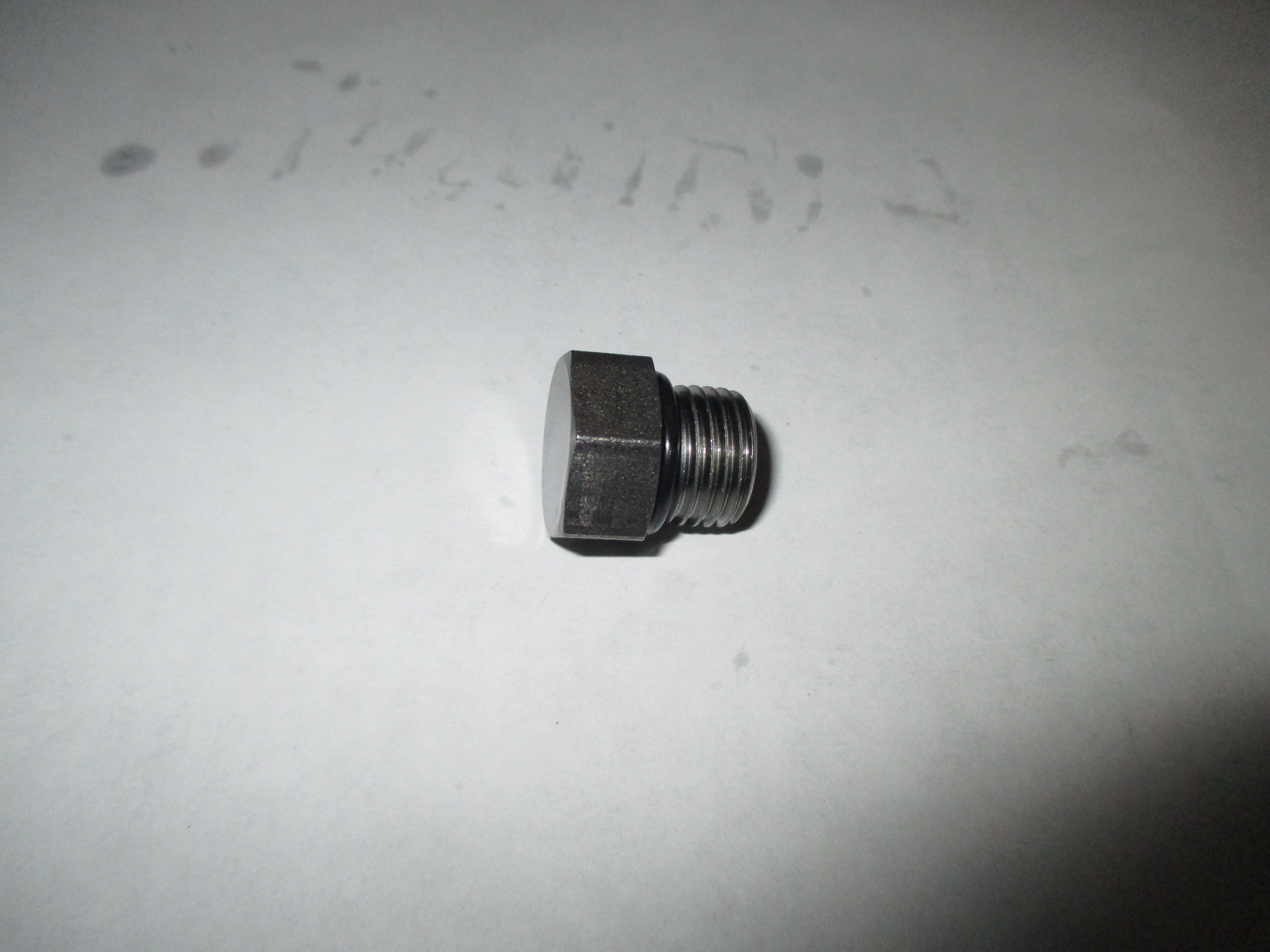 PLUG FOR BLOCKED LOOP FLUSHING 110C