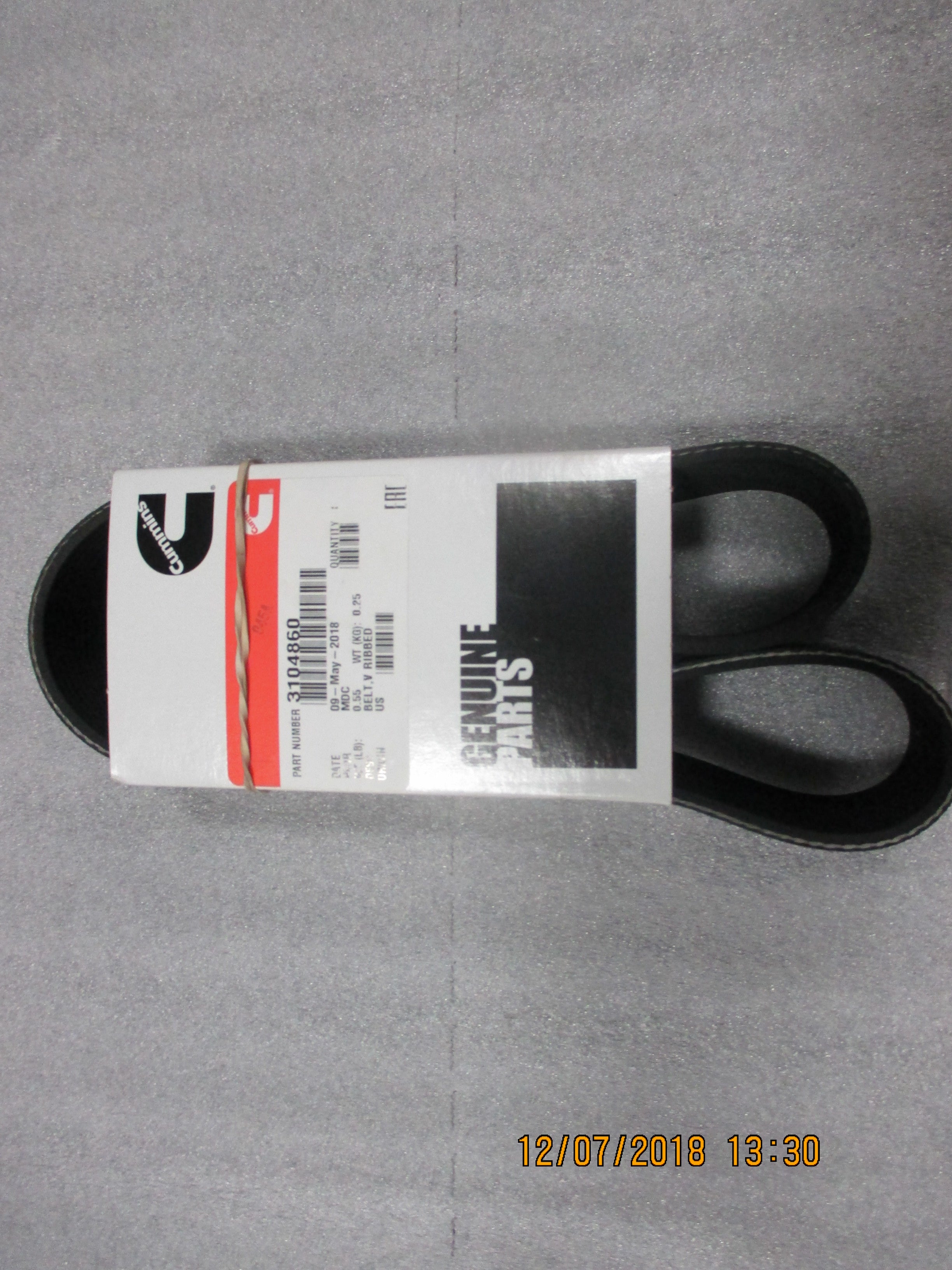 WATER PUMP BELT