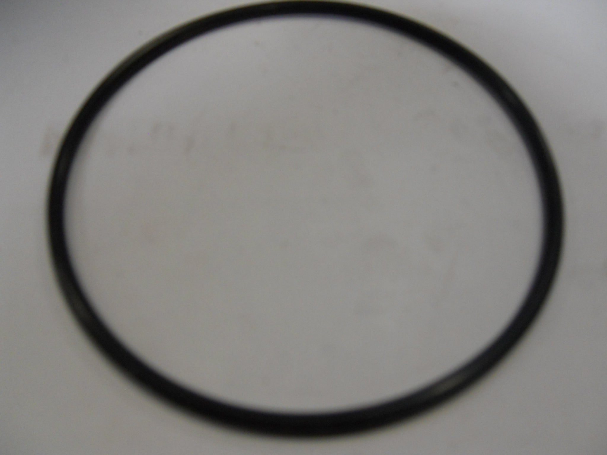 O-RING DURST 4 PUMP 3 7/8 ID X 1/8